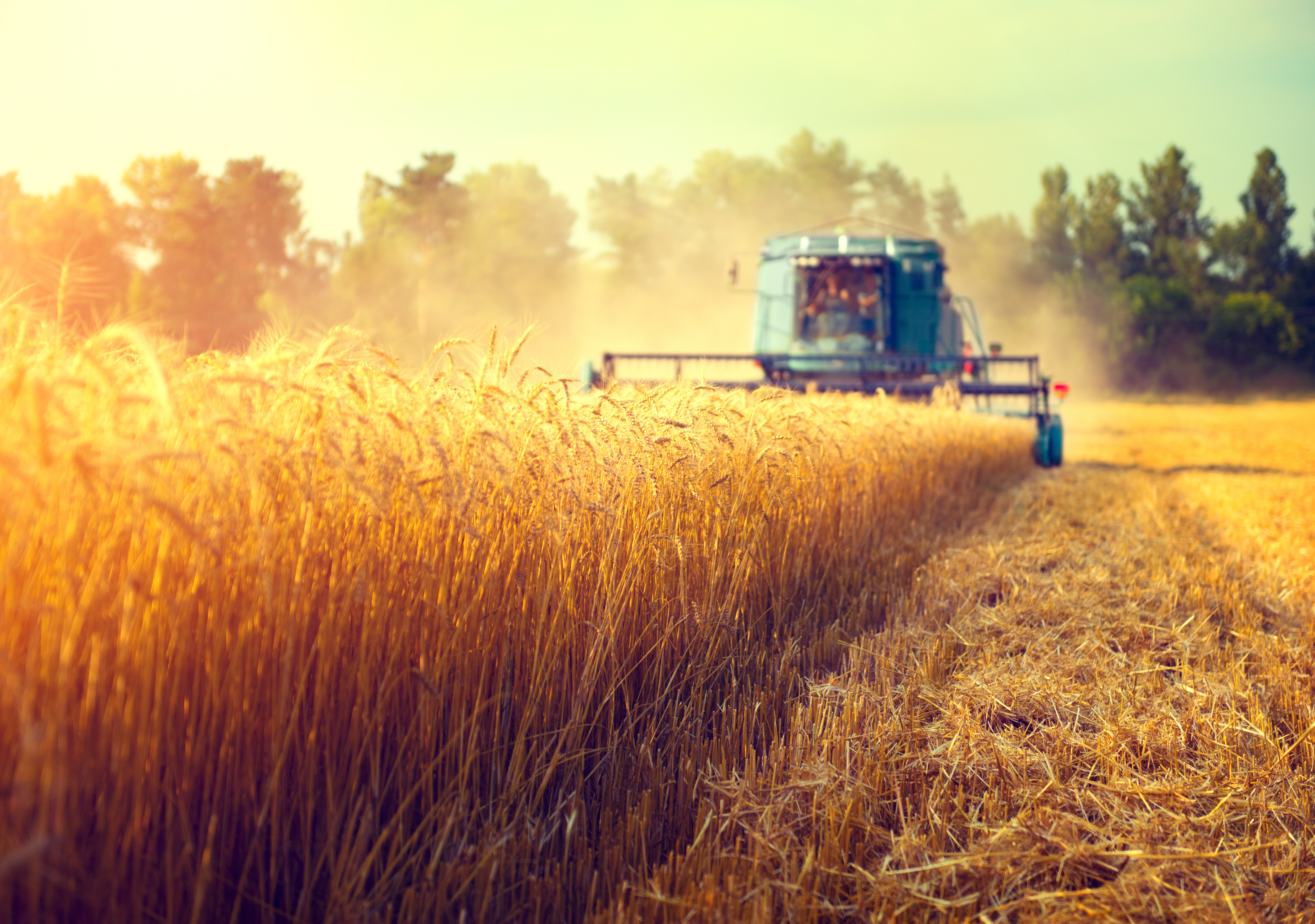 Ag Producer Sentiment