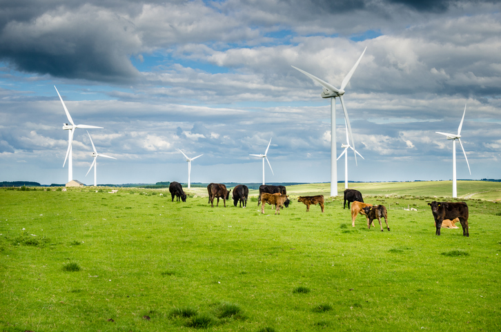 Windfarms Free