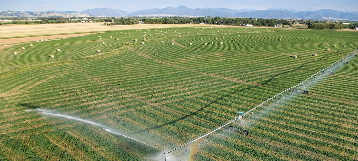 Overhead Bozeman