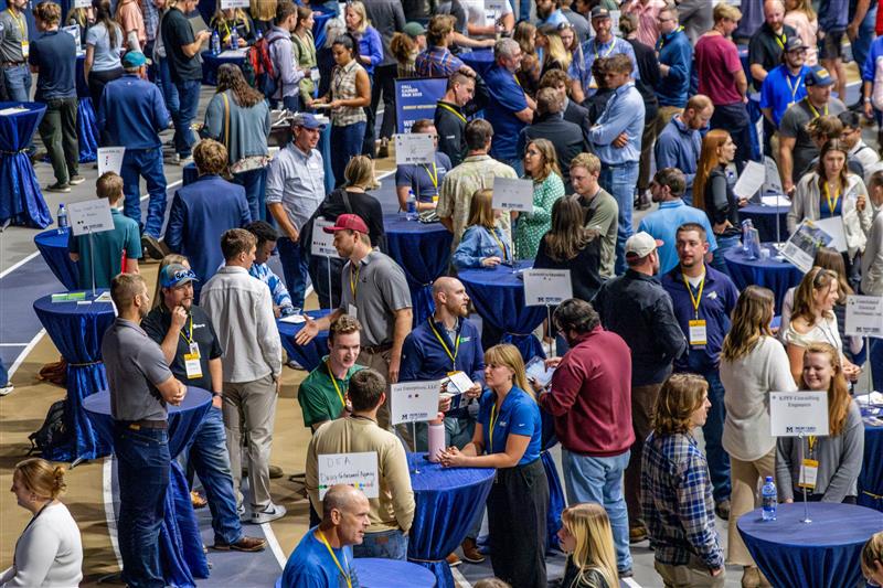 Put Image Description Here