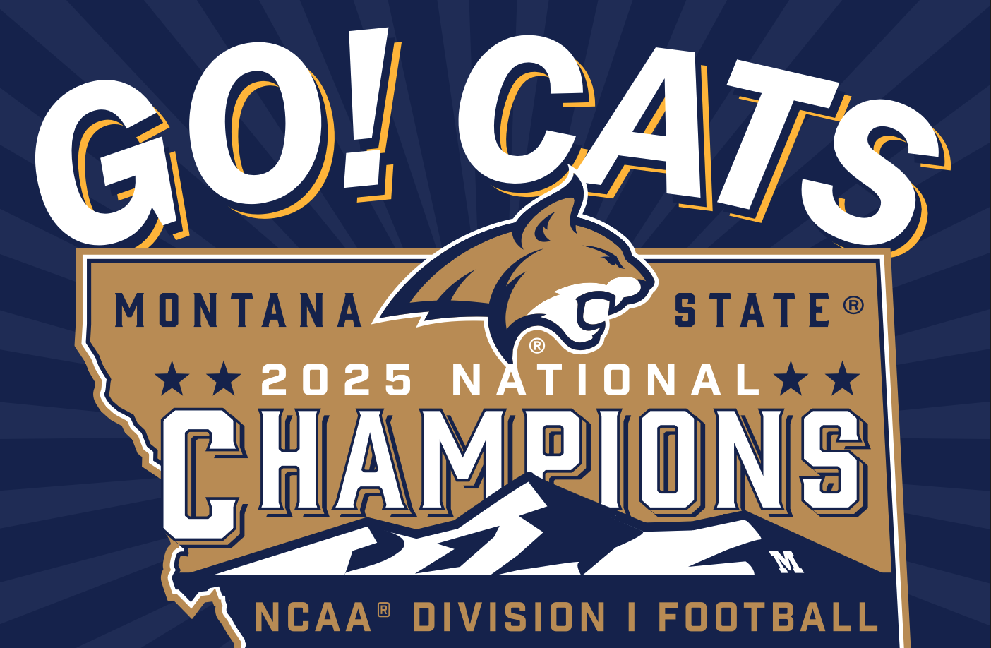 National Champions design