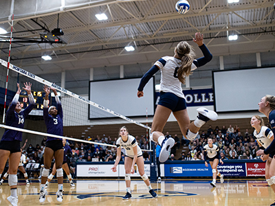 Bobcat Volleyball