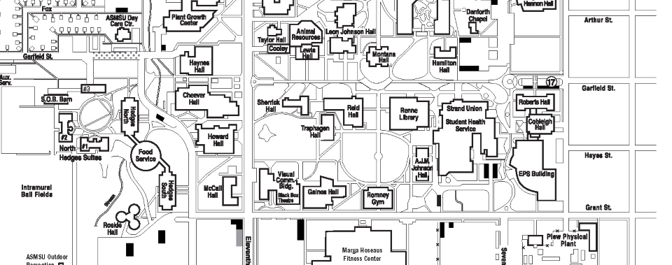 msu map