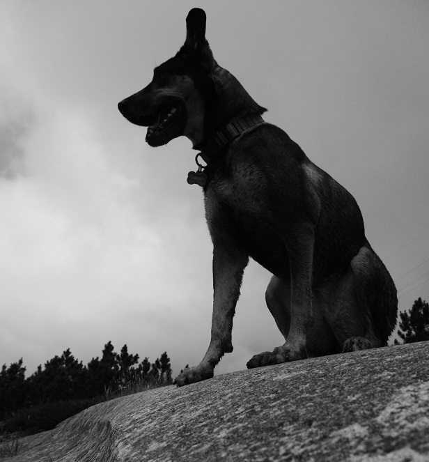 Massif on Granite