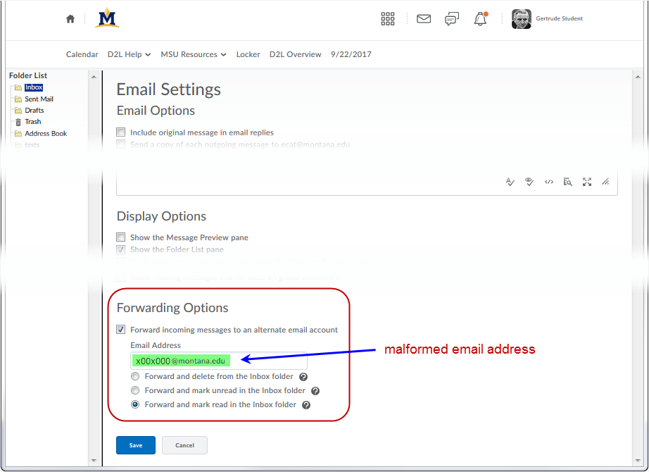 D2L DL CD v1074 screenshot - change the email in the &quot;Forwarding Options&quot; textbox to a proper email address