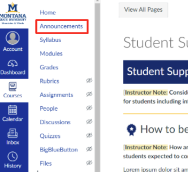 Course navigation menu with Announcements outlined in red