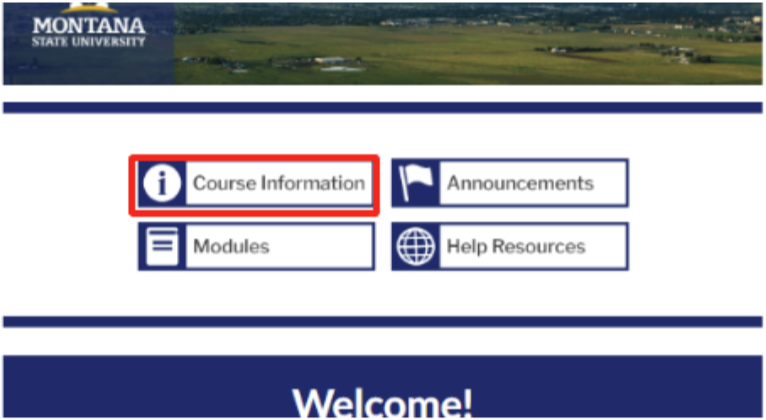 MSU-Branded Homepage buttons with course information button outlined in red. 