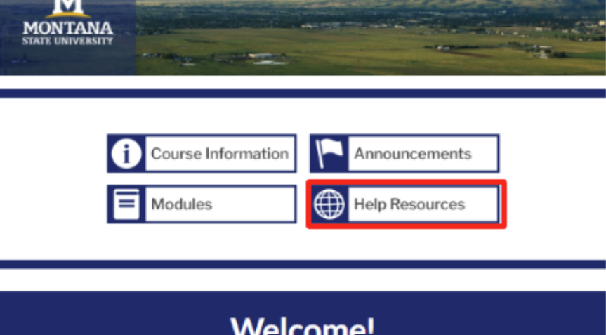  MSU-Branded homepage buttons with help resources outlined in red. 