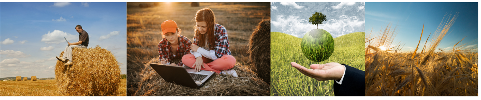 Agricultural Business Banner