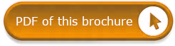 button linking to pdf of this brochure