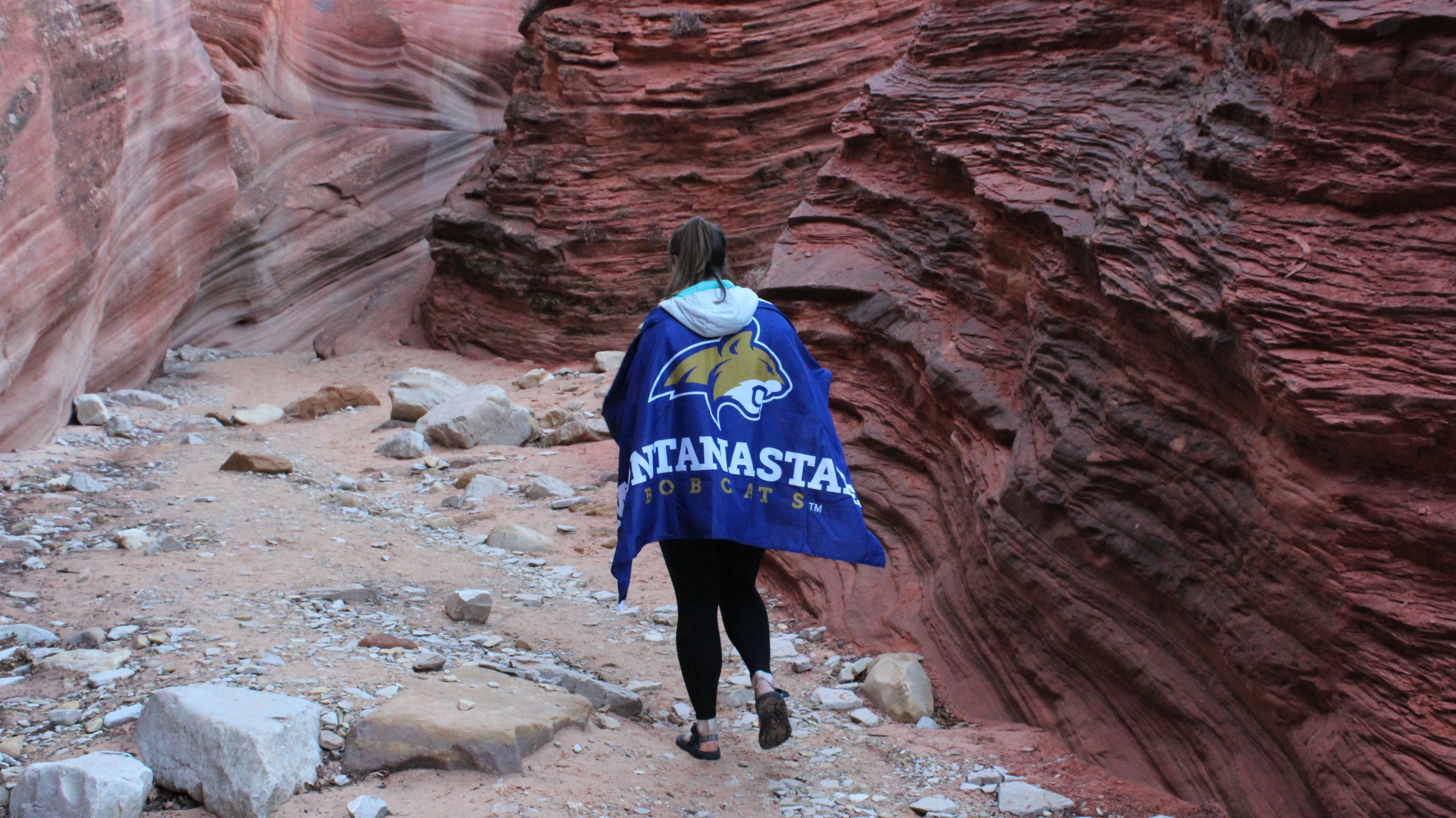 student walking away from camera in desert canyon wearing an MSU flag like a cape