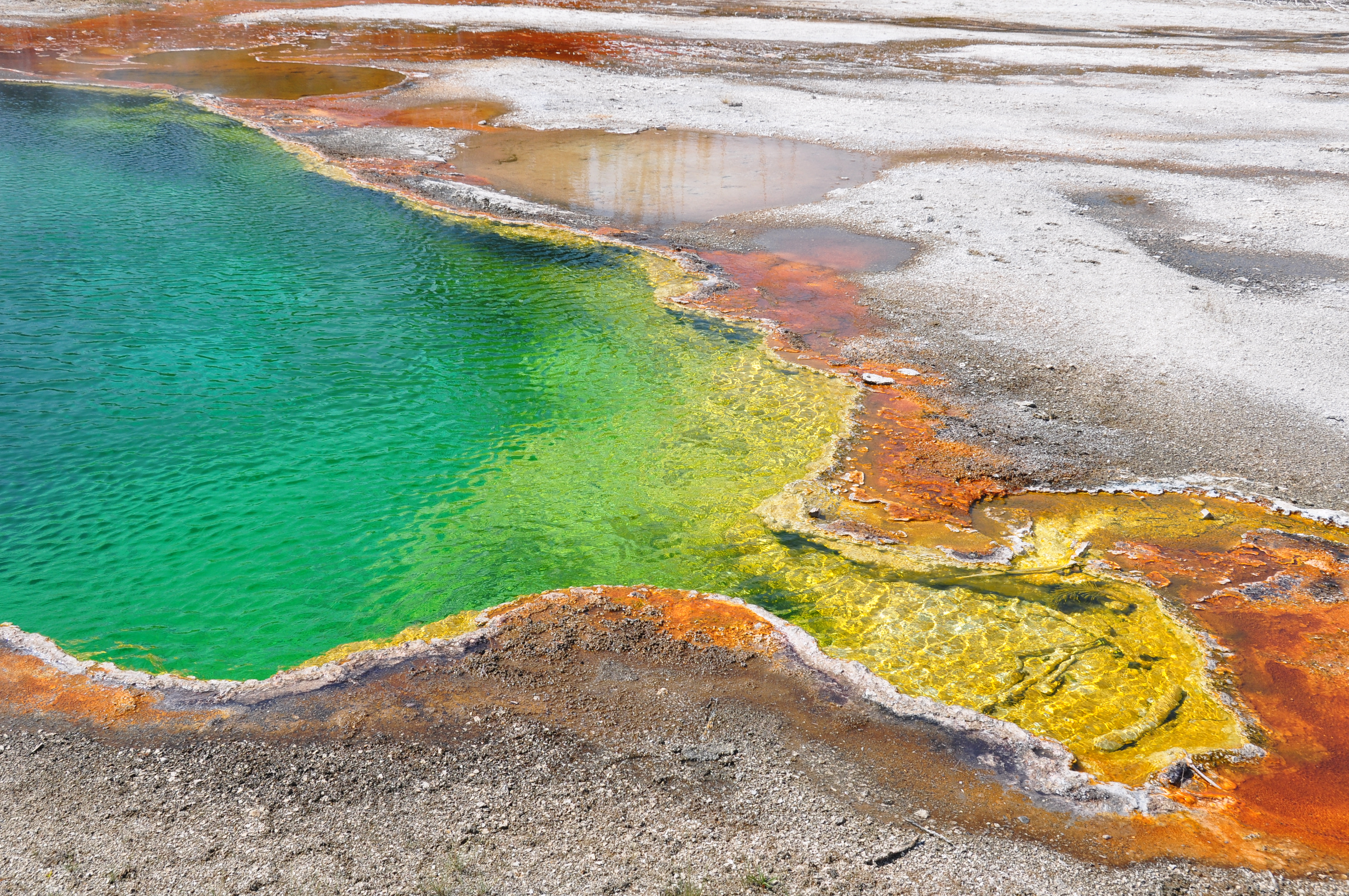 Yellowstone hot spring