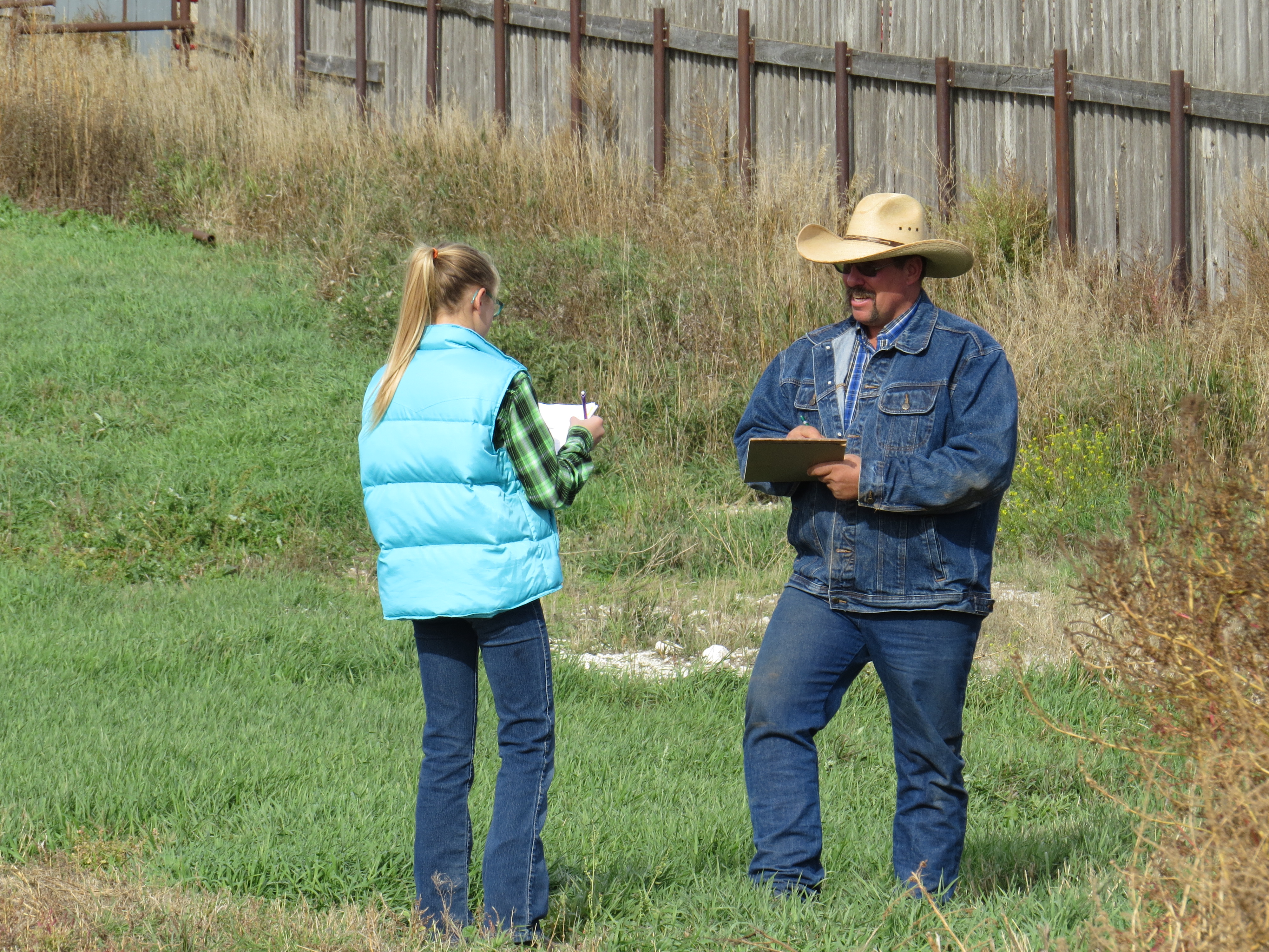 Livestock judging by a 4-H volunteer