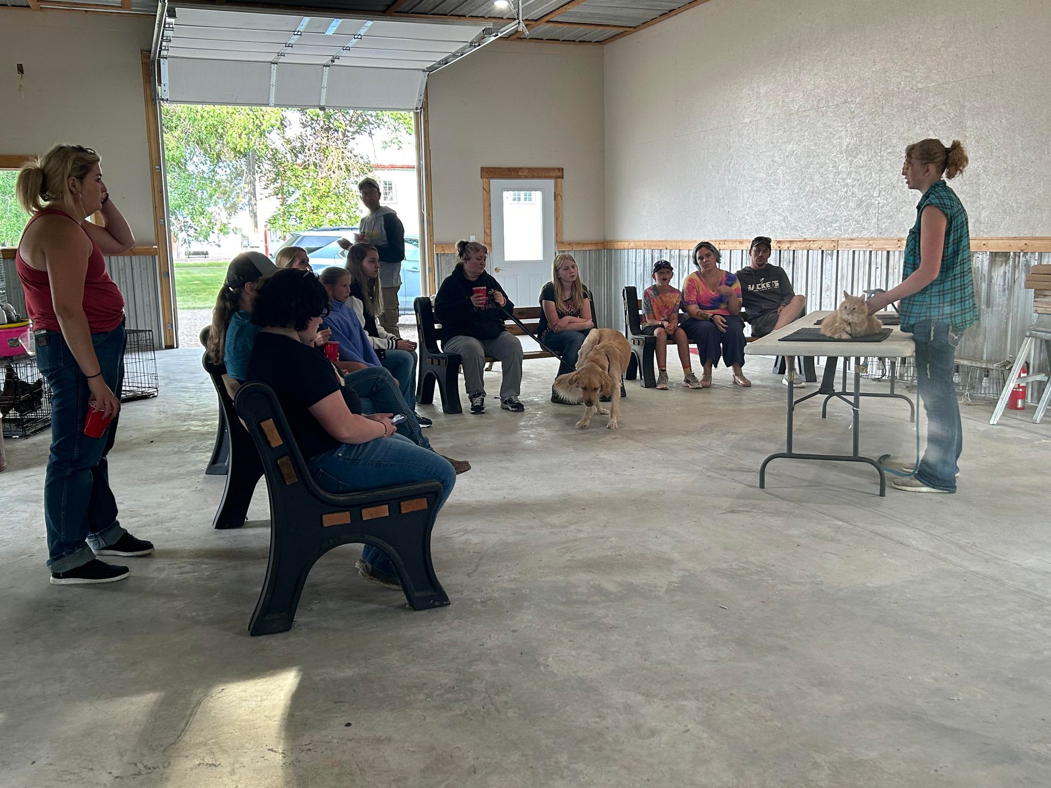 Stephanie Hove, a Dawson County 4-H Ambassador demonstration how to show a cat.