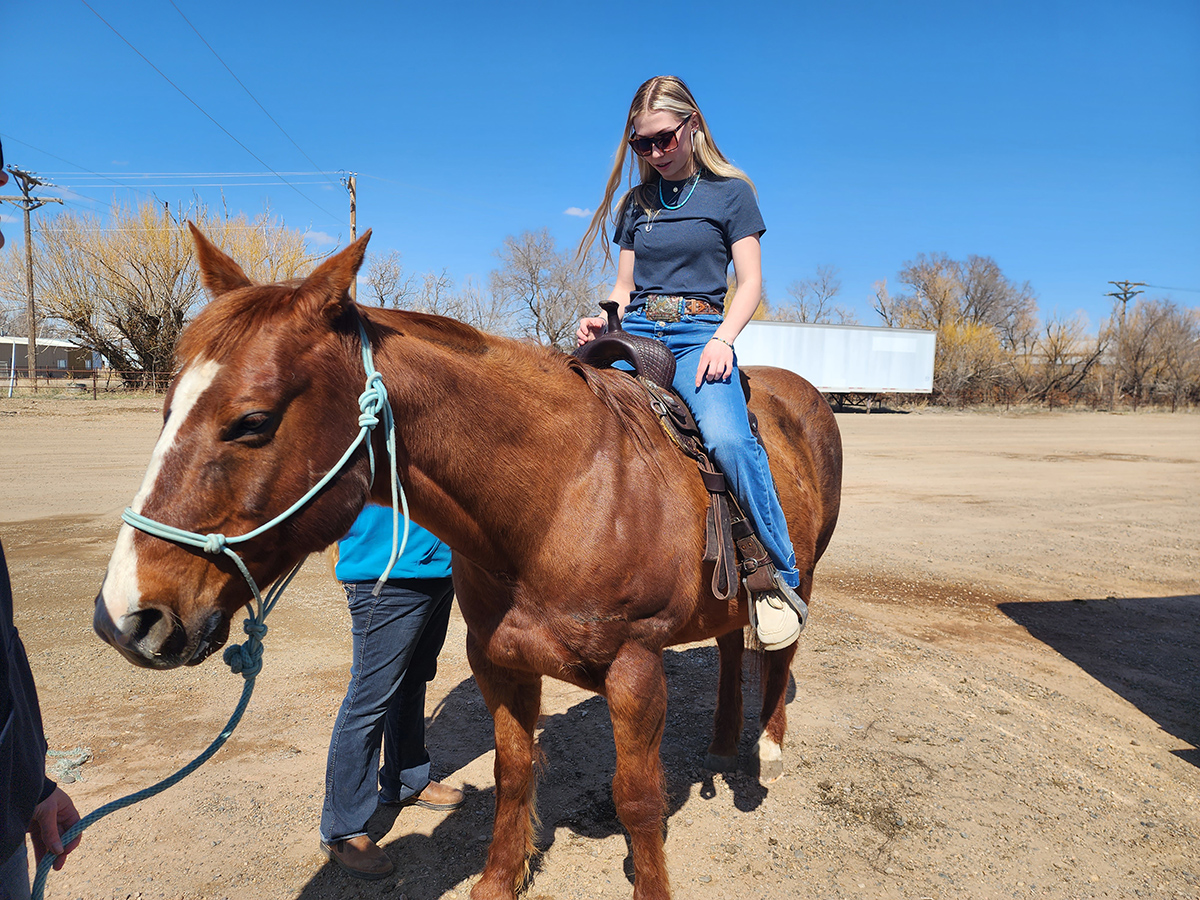 4-H Member Rhett Rossol trying out different saddles at the saddle fitting clinic