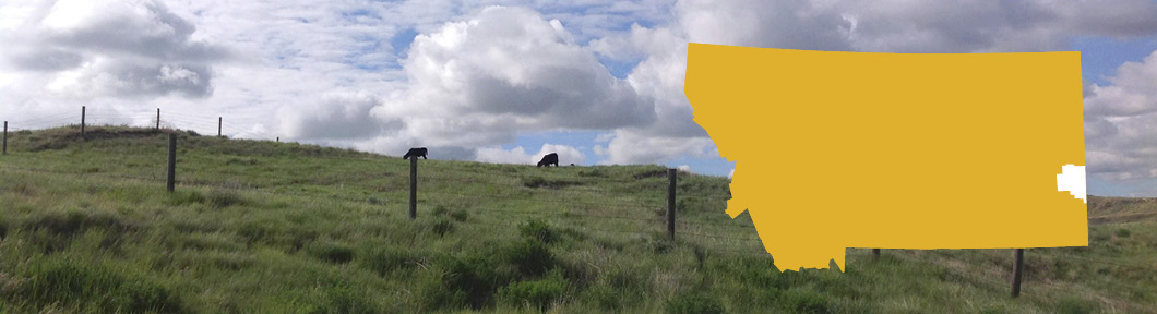 mountain scene with log fences in foreground