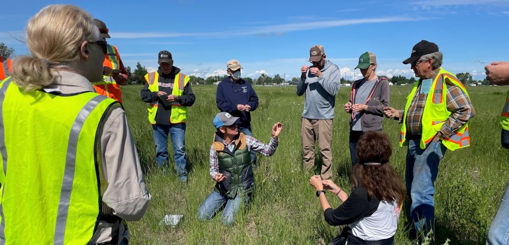 Group of participants in safety vests examining vegetation and discussing observations during a field research activity in a grassy area