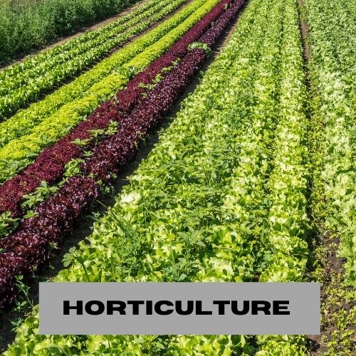 HORTICULTURE