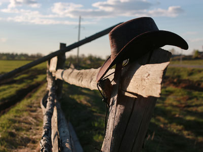 hat on fenceline