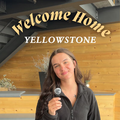 Welcome Home Series - Yellowstone