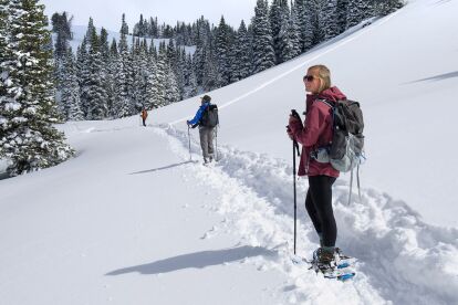 Three hikers use snowshoes and poles to trek along a snowy trail through a forested mountain landscape.