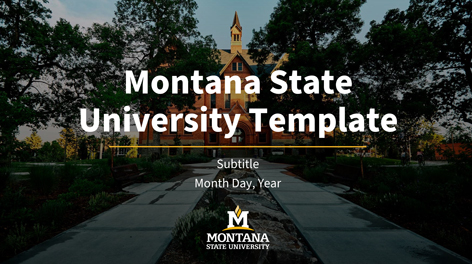 MSU PowerPoint template