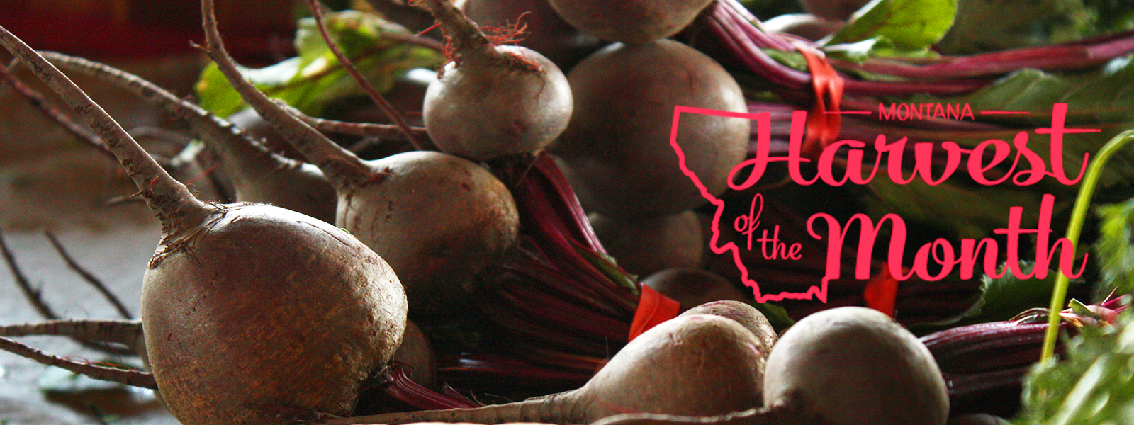 beets banner image