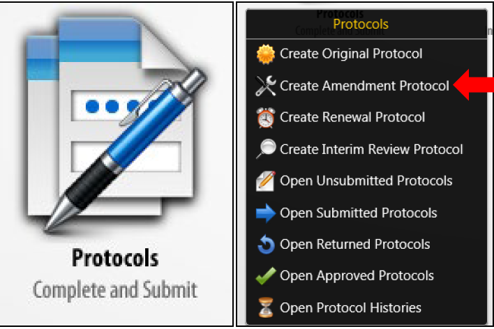 amendment protocol