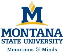 MSU