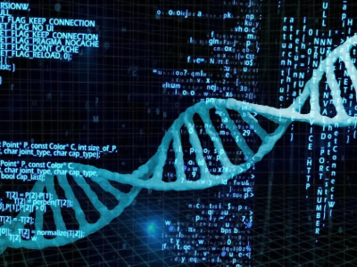 Bioinformatics Core Facility