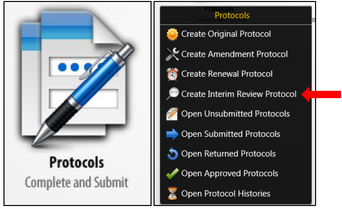 review protocol