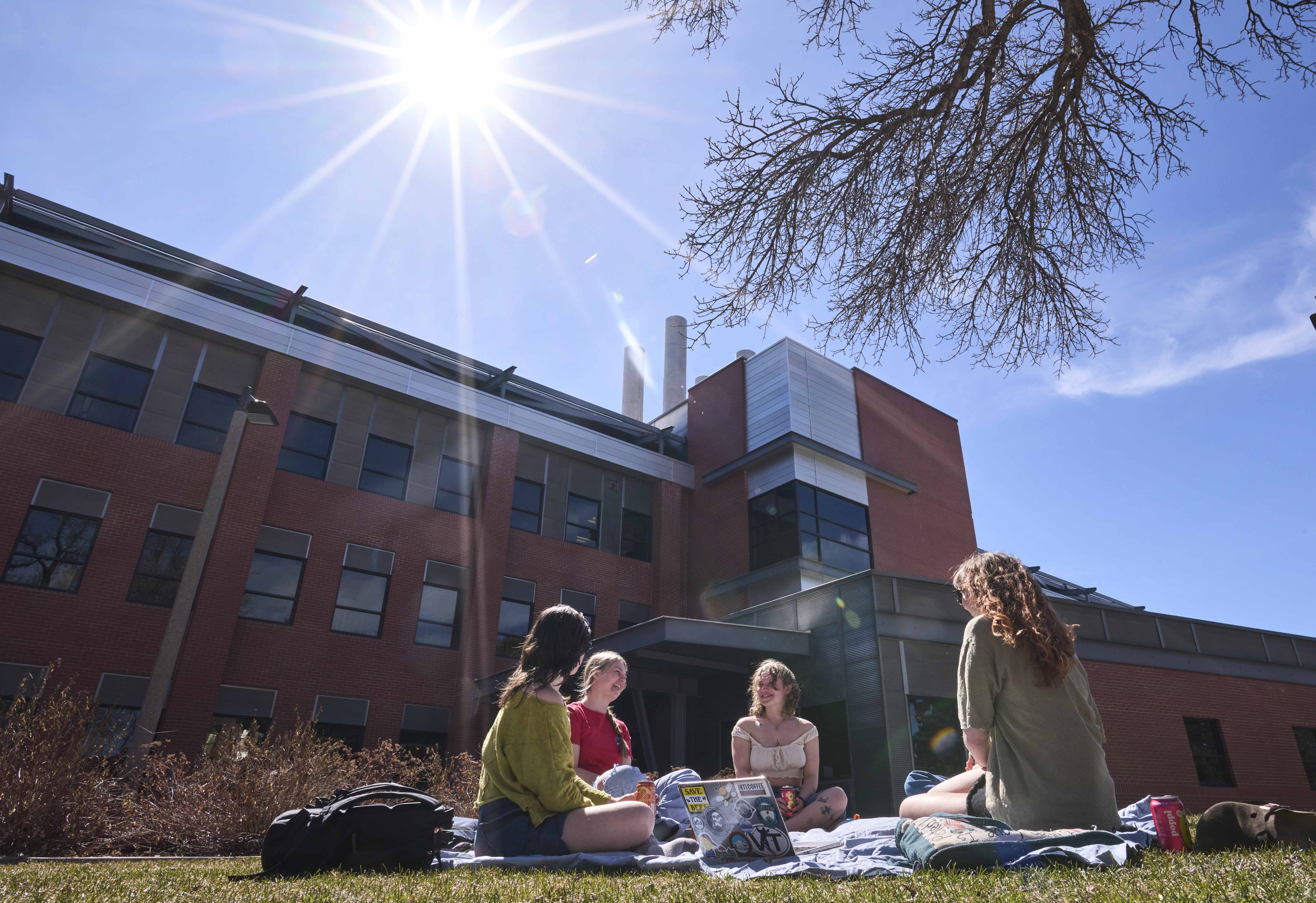students on the yard