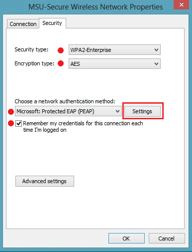 MSU=Secure Network properties screenshot